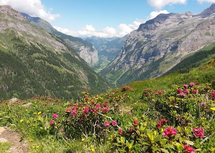 Apartman Uf Em Stutz 2 Grindelwald