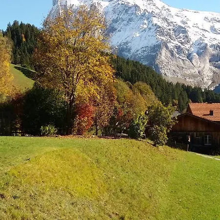 Apartamento Uf Em Stutz 2